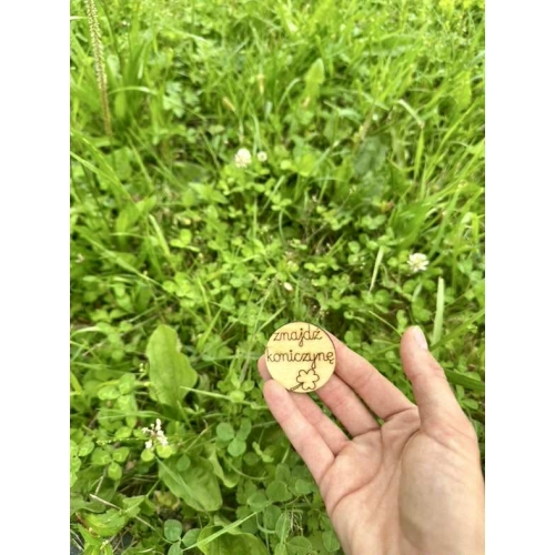 Zestaw żetonów Szukajek- dom i dwór (48 żetonów)